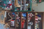 Sale Photo Thumbnail #2