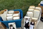 Sale Photo Thumbnail #7