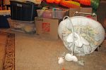 Sale Photo Thumbnail #18