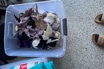 Sale Photo Thumbnail #22