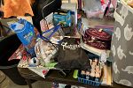 Sale Photo Thumbnail #22