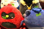 Sale Photo Thumbnail #20