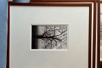 Sale Photo Thumbnail #29