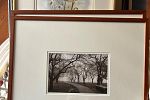 Sale Photo Thumbnail #30