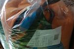 Sale Photo Thumbnail #134
