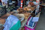 Sale Photo Thumbnail #14
