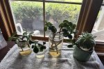Sale Photo Thumbnail #9