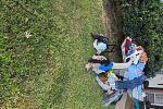 Sale Photo Thumbnail #16