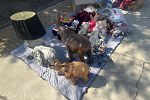 Sale Photo Thumbnail #3