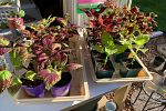Sale Photo Thumbnail #25