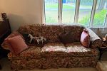 Sale Photo Thumbnail #41