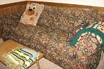 Sale Photo Thumbnail #70