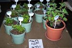 Sale Photo Thumbnail #21