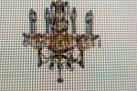 Sale Photo Thumbnail #44