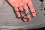 Sale Photo Thumbnail #12