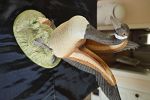 Sale Photo Thumbnail #24