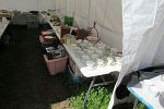 Sale Photo Thumbnail #42