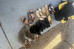 Sale Photo Thumbnail #12