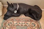Sale Photo Thumbnail #15