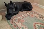 Sale Photo Thumbnail #122
