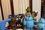 Sale Photo Thumbnail #20