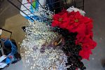 Sale Photo Thumbnail #26