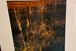 Sale Photo Thumbnail #49