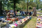 Sale Photo Thumbnail #5