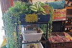 Sale Photo Thumbnail #13