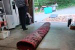 Sale Photo Thumbnail #26