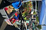 Sale Photo Thumbnail #14
