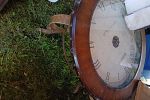 Sale Photo Thumbnail #12