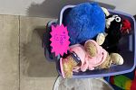 Sale Photo Thumbnail #14