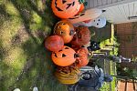 Sale Photo Thumbnail #32