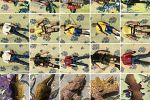 Sale Photo Thumbnail #23