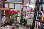 Sale Photo Thumbnail #41