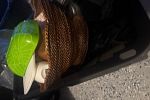 Sale Photo Thumbnail #15