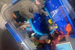 Sale Photo Thumbnail #18