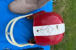 Sale Photo Thumbnail #21