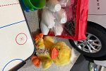 Sale Photo Thumbnail #14
