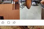 Sale Photo Thumbnail #33