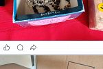 Sale Photo Thumbnail #101