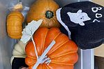 Sale Photo Thumbnail #26