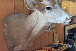 Sale Photo Thumbnail #24