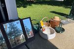 Sale Photo Thumbnail #9