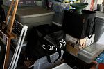 Sale Photo Thumbnail #17