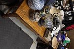 Sale Photo Thumbnail #33