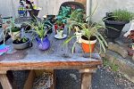 Sale Photo Thumbnail #18