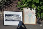 Sale Photo Thumbnail #41