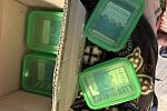 Sale Photo Thumbnail #19